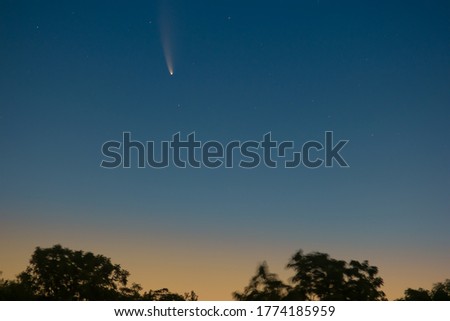 View of Neowise Comet at Dawn