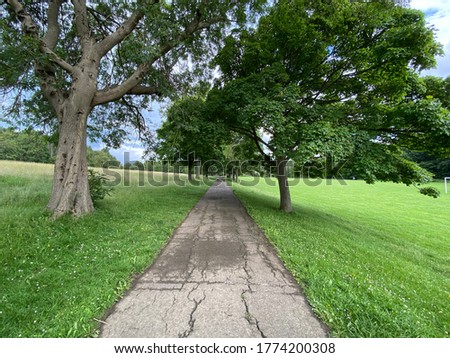 A footpath, between old trees and grass in, Northcliffe Park, Bradford, UK