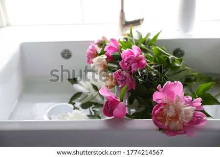 Bunch of beautiful peonies in kitchen sink, closeup. Space for text