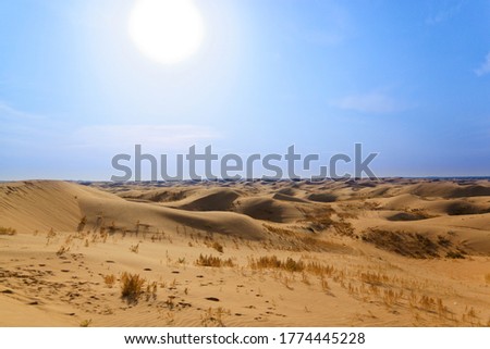 Sand dunes in the Gobi Desert in Inner Mongolia, China. sandy desert with blue sky and apparent sun, few clouds, extraordinary travel scene, hostile and inhospitable places to live
- Fantasy scenery