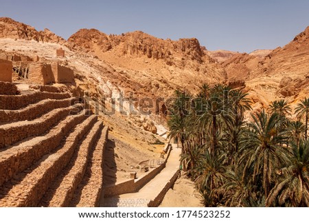Landscape Chebika oasis in Sahara desert. Ruins settlement and palm. Scenic view mountain oasis in North Africa. Located at foot Jebel El Negueba. Atlas mountains on Sunny afternoon. Tozeur, Tunisia Royalty-Free Stock Photo #1774523252