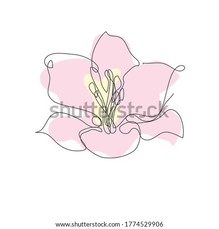 Decorative hand drawn liy flower, design element. Can be used for cards, invitations, banners, posters, print design. Continuous line art style