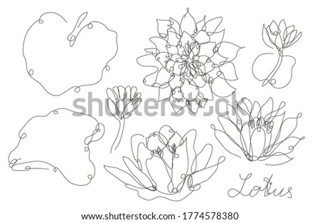 Decorative hand drawn lotus flowers set, design elements. Can be used for cards, invitations, banners, posters, print design. Continuous line art style