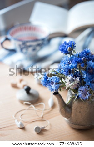 still life - Centaurea in a vintage teapot
