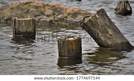 Photo of old wooden posts sticking out of the water.