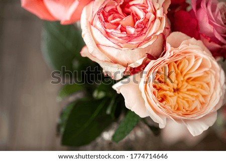 Beautiful fresh roses of different colors close-up, floral background.