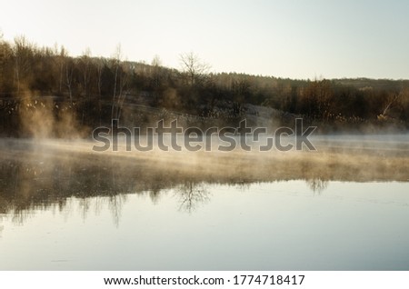foggy lake, mirror reflection in the cart, dawn sun