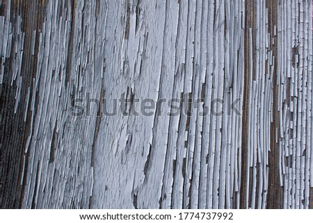 Close up light grey painted lines of peeling wooden surface
