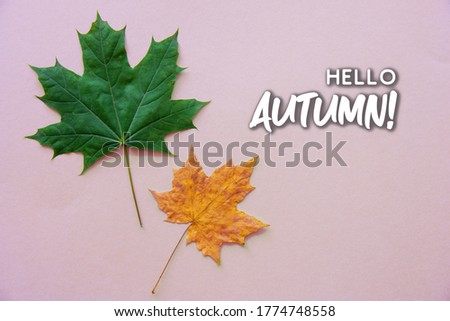 Hello  autumn decor Poster card with sunlight filter and toned grunge image
