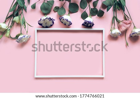 Beautiful eustoma flowers on pink pastel background with white frame. Nature backdrop for seasonal cards, blogs, web design. Top view, copy space. Flat lay