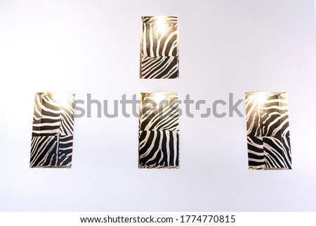 Zebra niches with light on white wall