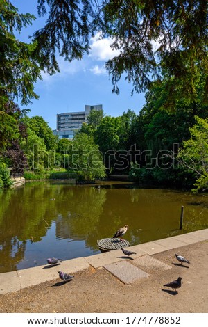 Church House Gardens, Bromley (Greater London) in Kent, UK. Church House Gardens is in the centre of Bromley and is an open space with trees and a lake.  Pictured with pigeons and an Egyptian goose.