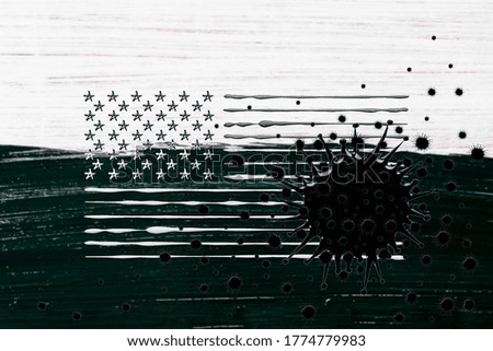 Collage of a painted coronavirus and an American flag
