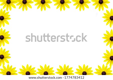 White workspace with a beautiful yellow camomile on a crocheted snapshot isolated on a white background. banner, high resolution image, summer colorful desktop