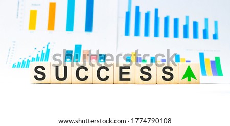 success word made with wooden blocks, concept