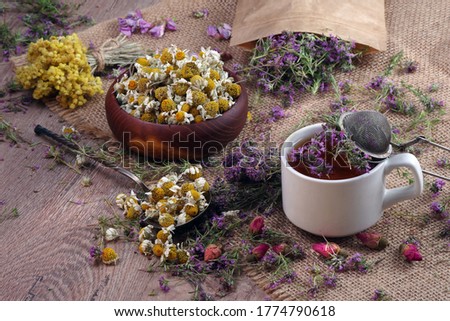 summer medicinal herbs. fresh thyme flowers, dried chamomile and immortelle flowers on a wooden table. cup of thyme tea and various herbs