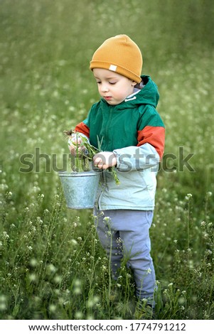 Toddler 3 years old rips grass in a bucket for pets. High quality photo