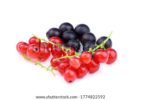 Red currant and black currant isolated on a white background. Ribes nigrum and Ribes rubrum isolated. Healthy food. Ripe berries. Royalty-Free Stock Photo #1774822592