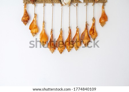 Shell composition decor on the wall. Background. Balinese style of interior. Space for design
