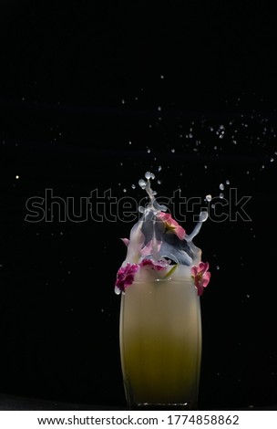 A beautiful closeup photograph of water splash with flowers and black background.