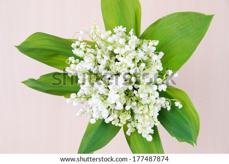 Bouquet of lily of the valley.