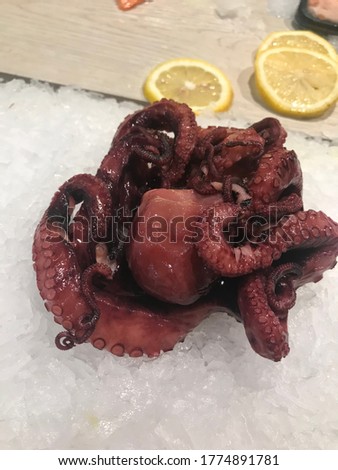 Octopus on ice flakes are sold in supermarkets, with noise and grain texture of ice, motion blur, selective focus, and unfocused picture