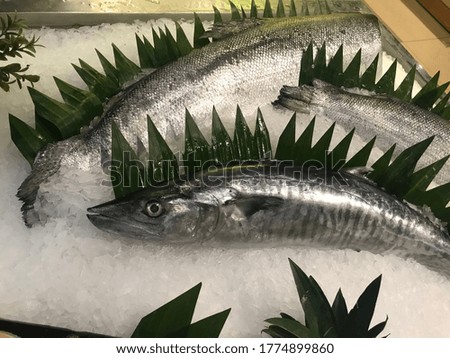 Salmon fish on ice flakes are sold in supermarkets, with noise and grain texture of ice, motion blur, selective focus, and unfocused picture