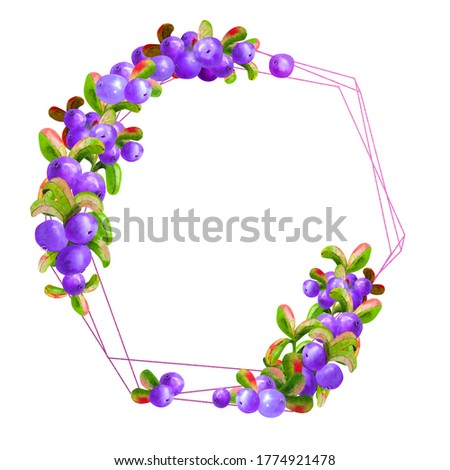 A geometric frame with ripe irgi berries on a white background is isolated. Graphic element. Watercolor illustration.