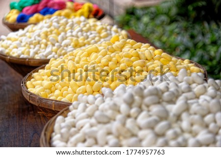 The silk yarn is obtained from a silkworm, Household handicrafts of Thai silk use for weaving traditional Thai silk - 22.01.2020 - Bangkok, Thailand Royalty-Free Stock Photo #1774957763