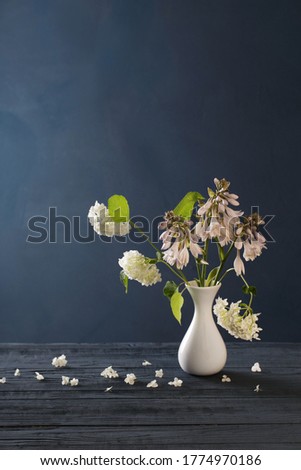 white hydrangea in vase on blue background