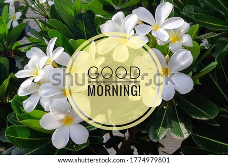 Good morning image with a beautiful flower background. 