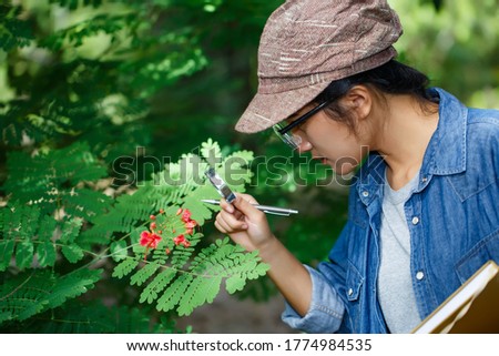Female botanists look at flowers to study the changes caused by climate change.
 Royalty-Free Stock Photo #1774984535