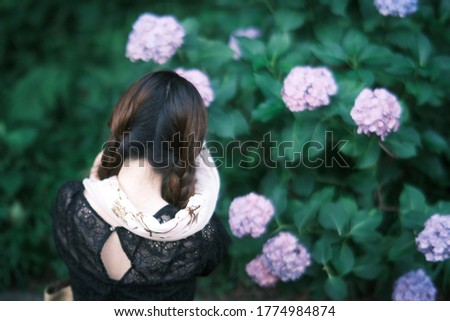 
Asian woman taking a picture of hydrangea