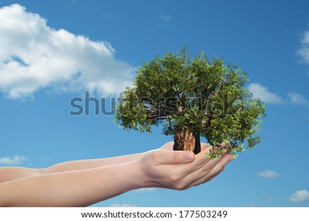 Concept or conceptual human man or woman hand holding a green summer tree and blue sky with clouds ecology background for environment, growth, eco, protection, conservation, organic, bio, love, energy
