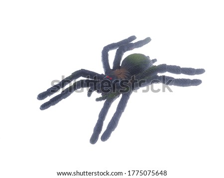 toy spider on a white background