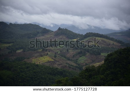 The picture shows many complicated mountains and large green trees. Yellow meadow Natural in the rainy season in northern Thailand Mae Hong Son province