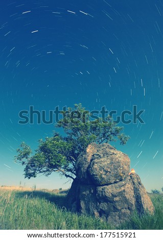 Vintage picture. Starlit night in a valley with a tree on a rock