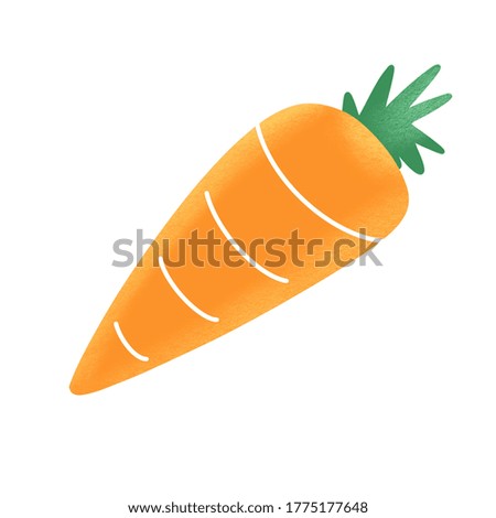 A carrot illustration on the white background