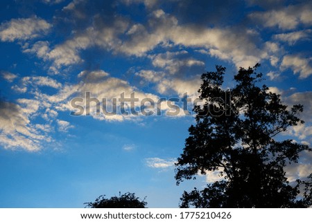 clouds at sunset with silhouetted trees