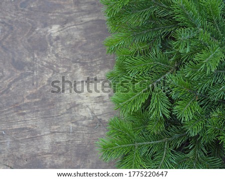 Place for an inscription. Christmas background. Verdant pine branches lie on a wooden brown background.