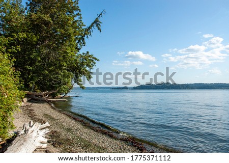 Stoney beach with driftwood and trees at Ford Ward Park, Bainbridge Island, WA, Pacific Northwest PNW Royalty-Free Stock Photo #1775371112