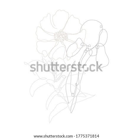Decorative hand drawn iris, lily and cosmos flowers, design elements. Can be used for cards, invitations, banners, posters, print design. Continuous line art style