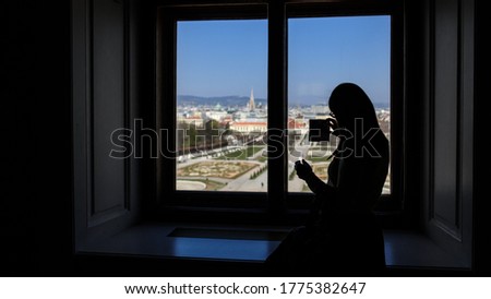 A silhouette of woman taking a picture with her mobile phone the  view of the Federal Gardens and Vienna city from "Schönbrunn" Palace, Austria.