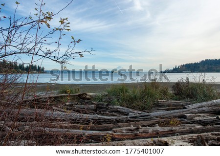 View of ferry in Puget Sound against backdrop of Moutn Rainier, as seen from Hawley Cove Park, Bainbridge Island, WA, Washington, Pacific Northwest, PNW, USA Royalty-Free Stock Photo #1775401007