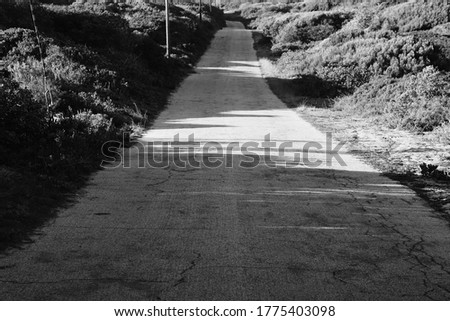 An open tar road filled with sunlight and shadows. Road trip concept image. 