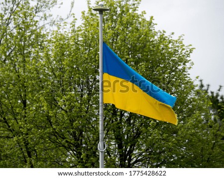 Blue and yellow flag flown on a flagpole