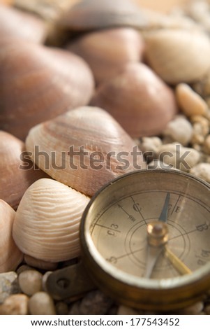 Sea Shells  the stones and the old compass with the marks of use closeup