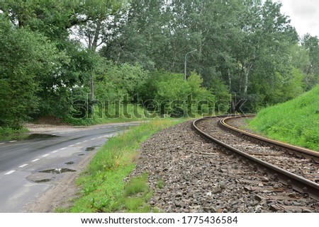 Railroad tracks and asphalt road turn between trees. Summer.