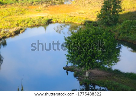 green lake with plants and pine trees around with path