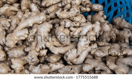 wholesale ginger to the world markets. Ginger - the most useful supplement for strengthening immunity